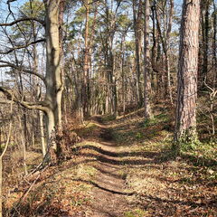 23-03-17 10-56-29 4883